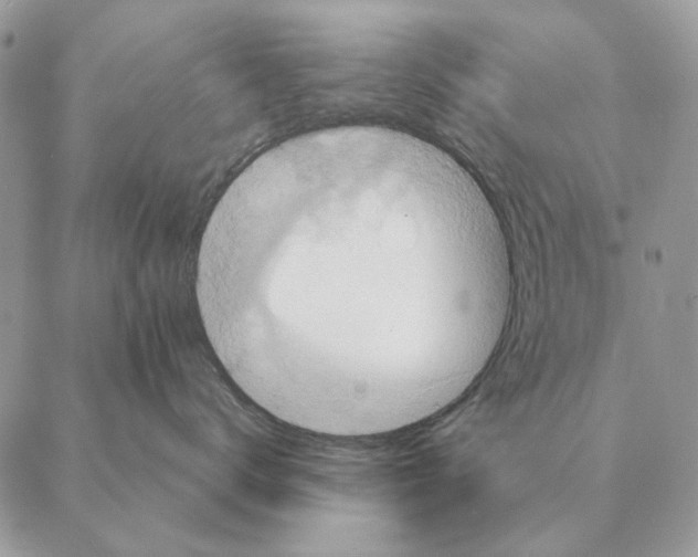 X0000088220672200706121831