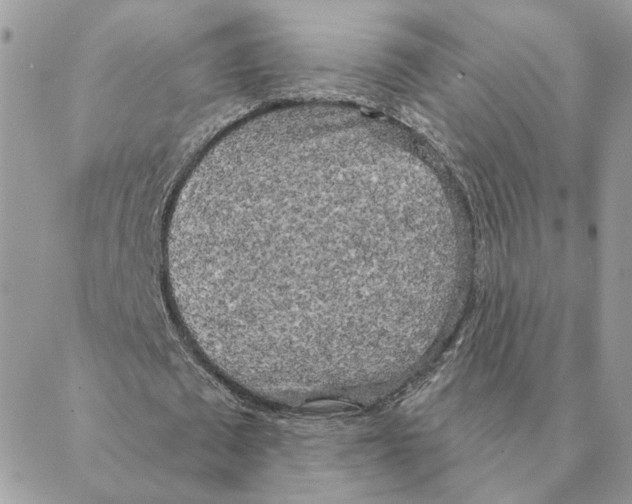 X0000088220673200706121831