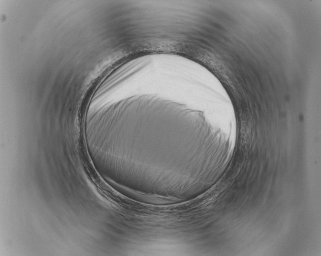 X0000088220674200706121831