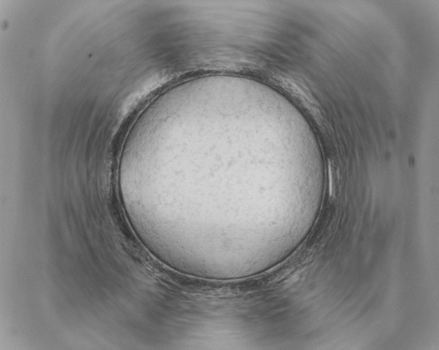 X0000088220675200706121831