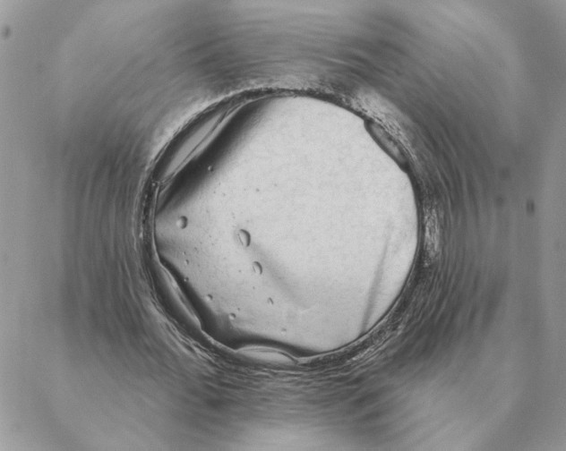 X0000088220676200706121831