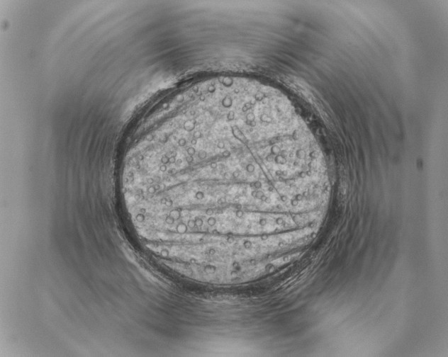 X0000088220677200706121831