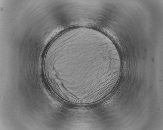 X0000088220678200706121831