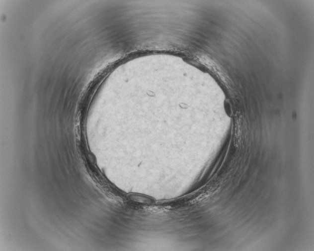 X0000088220680200706121831