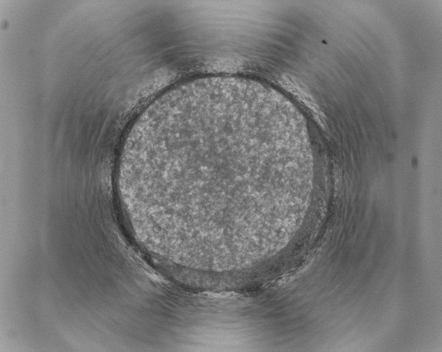 X0000088220681200706121831