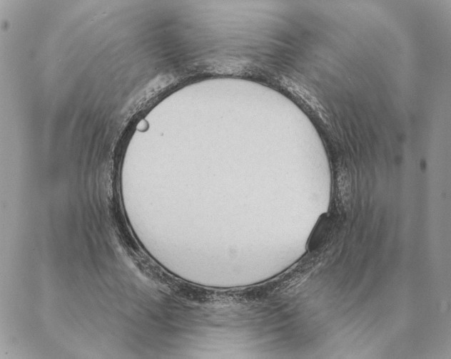 X0000088220682200706121831