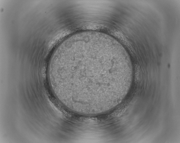 X0000088220683200706121831