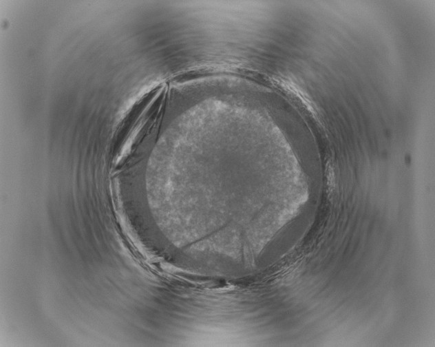 X0000088220684200706121831