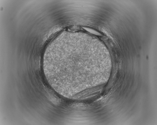 X0000088220685200706121831