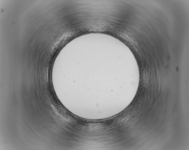X0000088220686200706121831