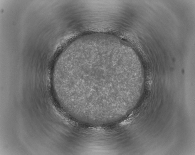 X0000088220688200706121830