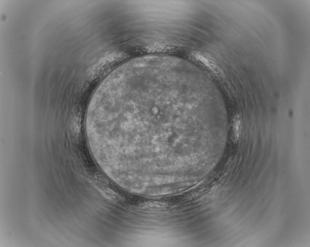 X0000088220691200706121830