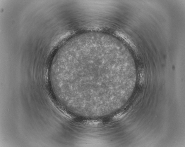 X0000088220692200706121830