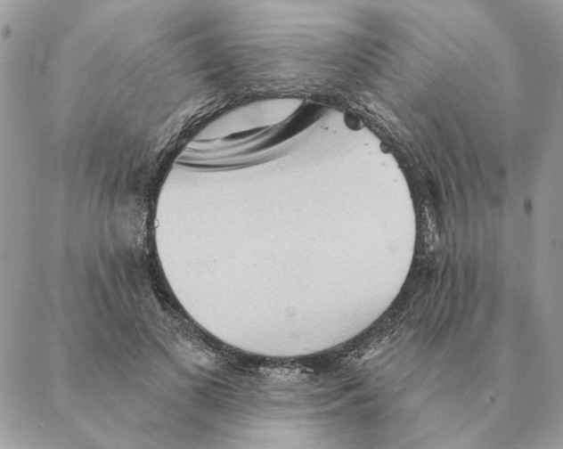 X0000088220693200706121830