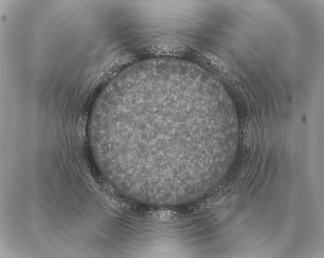 X0000088220695200706121830