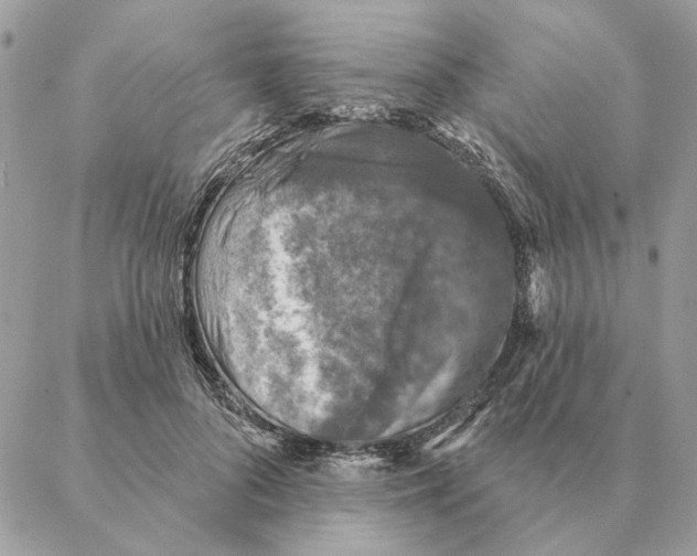 X0000088220696200706121830