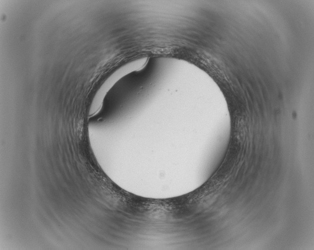 X0000088220697200706121830