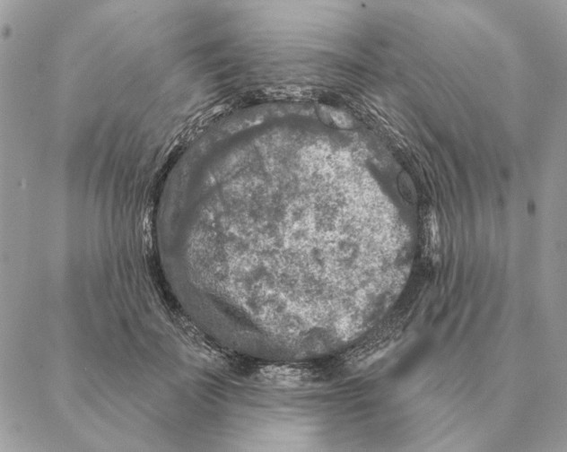 X0000088220699200706121830