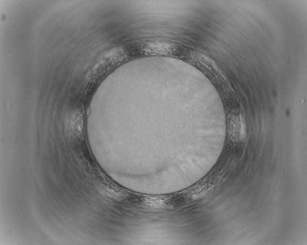 X0000088220701200706121830