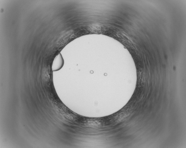 X0000088220702200706121830