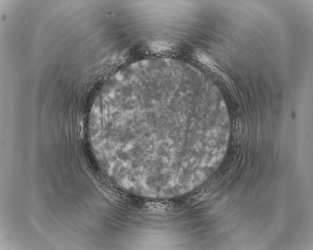 X0000088220703200706121830