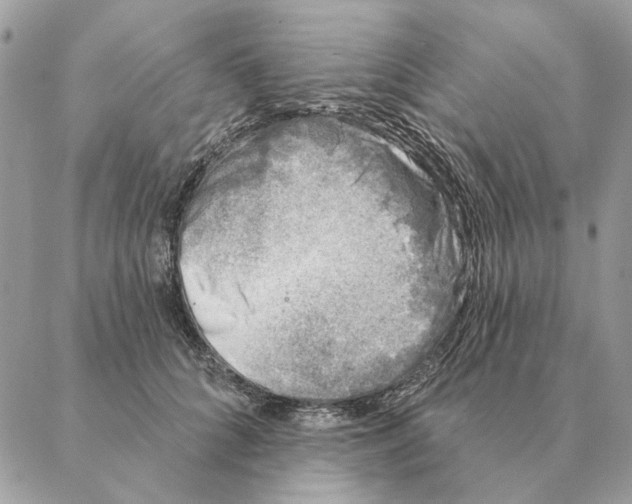 X0000088220704200706121830