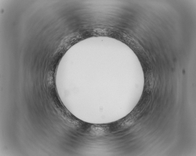 X0000088220706200706121830