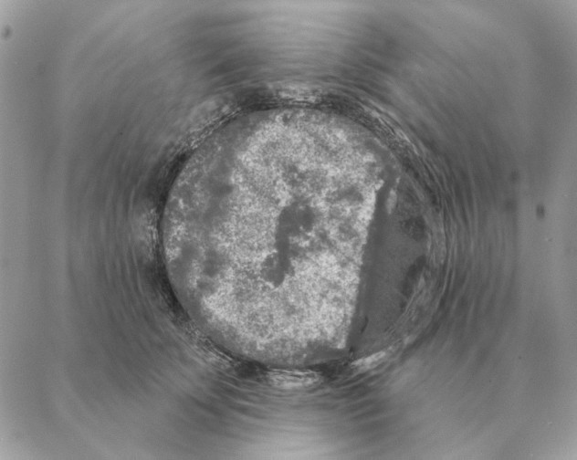 X0000088220707200706121830