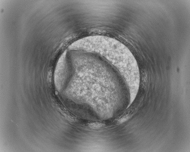 X0000088220708200706121830