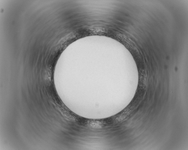 X0000088220710200706121830