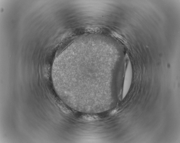 X0000088220712200706121830