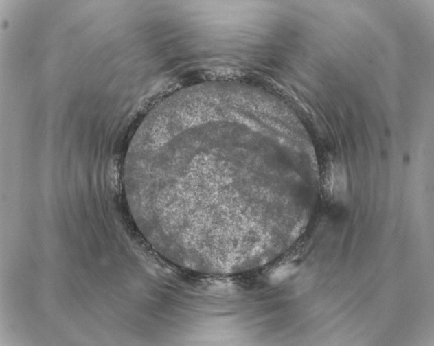 X0000088220715200706121830