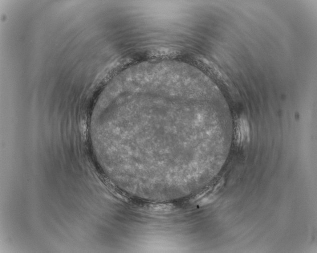 X0000088220716200706121830