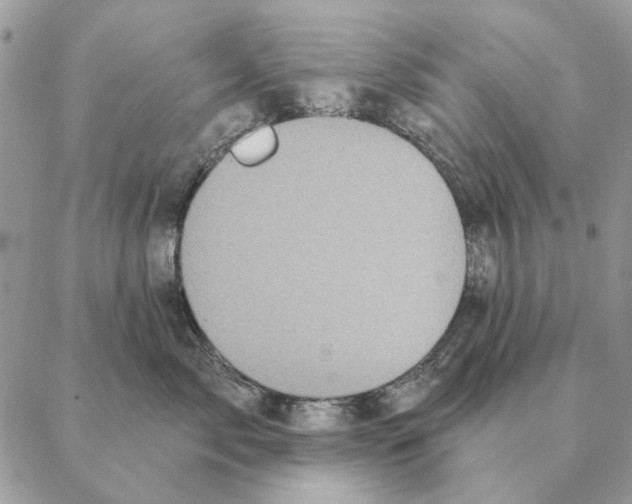 X0000088220717200706121830