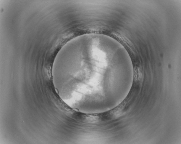 X0000088220718200706121830