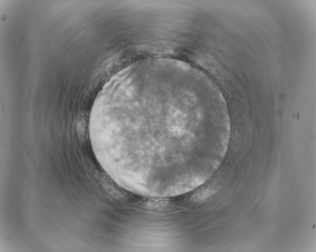 X0000088220720200706121830