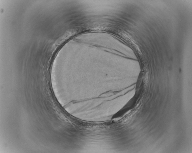 X0000088220721200706121829