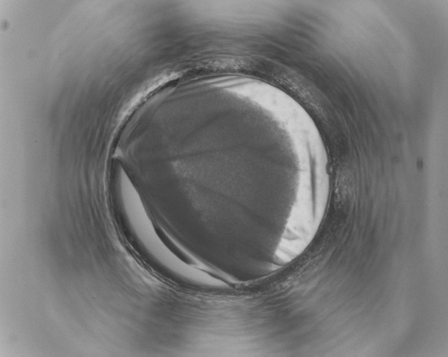 X0000088220722200706121829