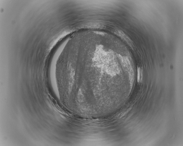 X0000088220723200706121829