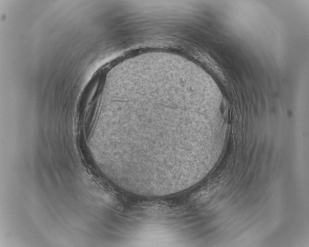 X0000088220724200706121829