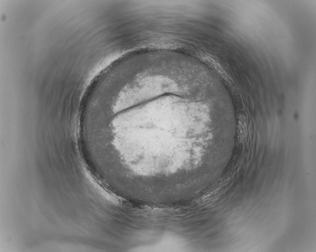 X0000088220726200706121829