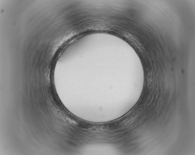 X0000088220727200706121829