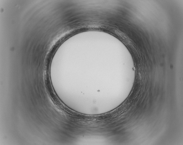 X0000088220728200706121829