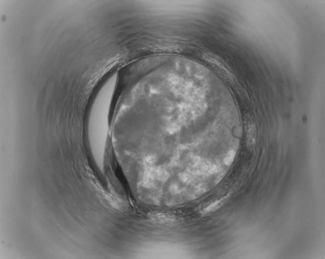 X0000088220729200706121829