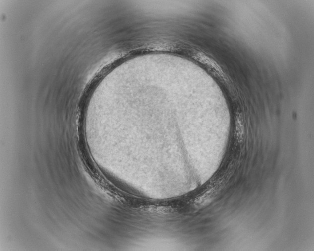 X0000088220730200706121829