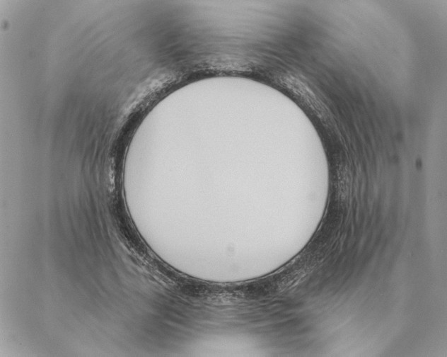 X0000088220731200706121829