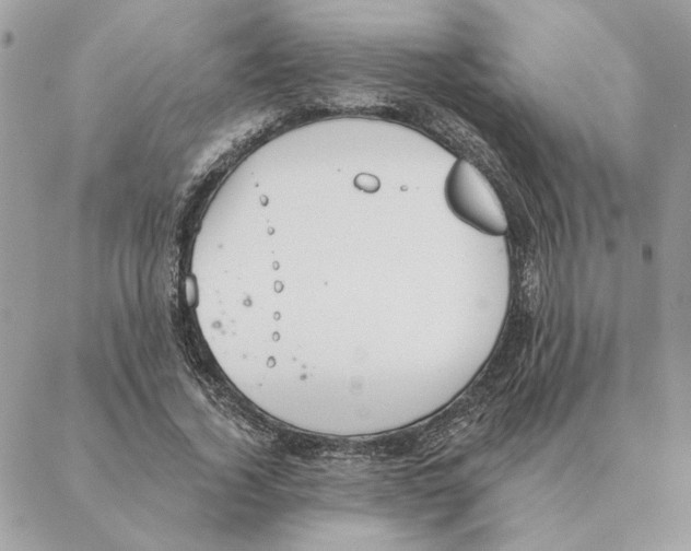 X0000088220732200706121829