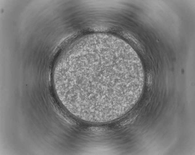 X0000088220733200706121829