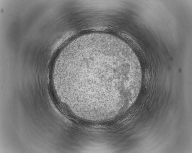 X0000088220734200706121829