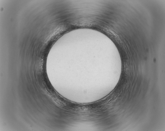 X0000088220735200706121829